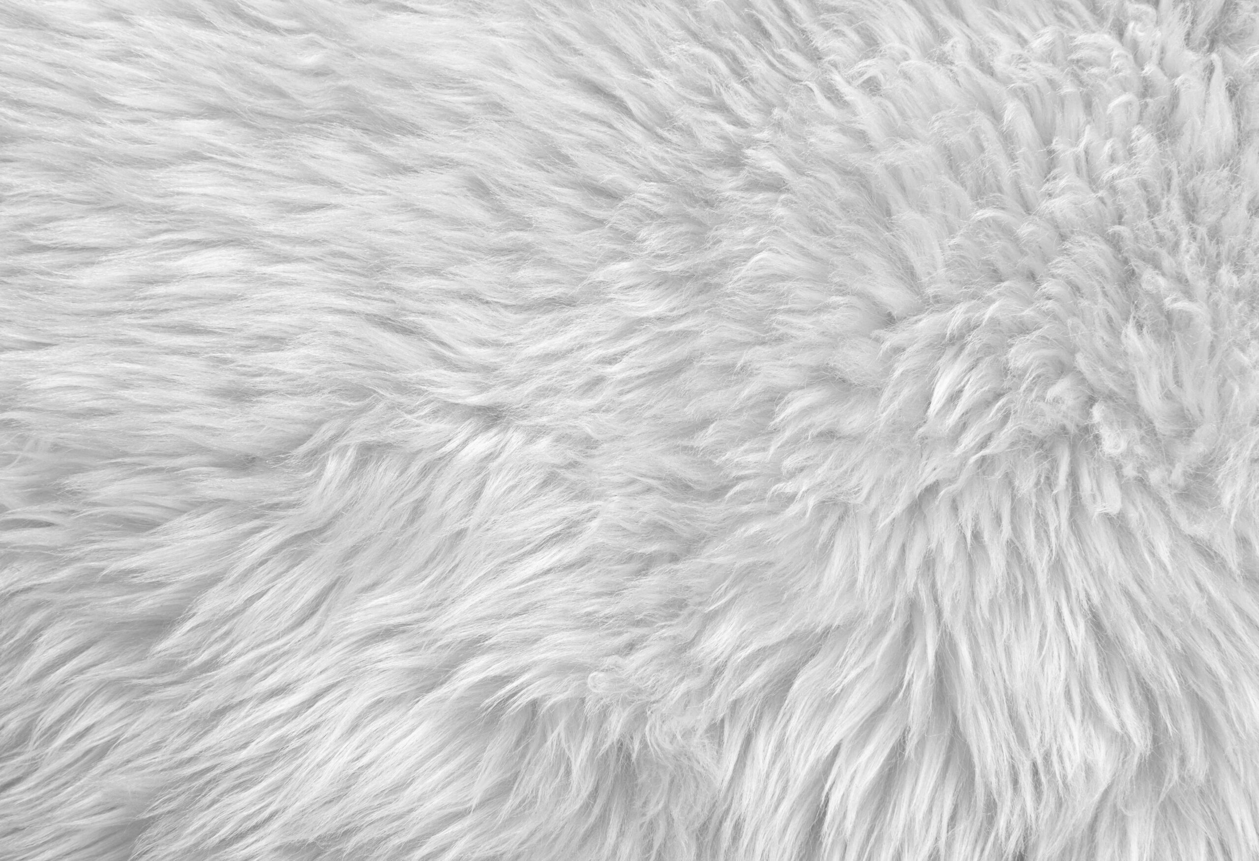 Vinyl Photography Backdrops Designs - 3 by 4 Feet
