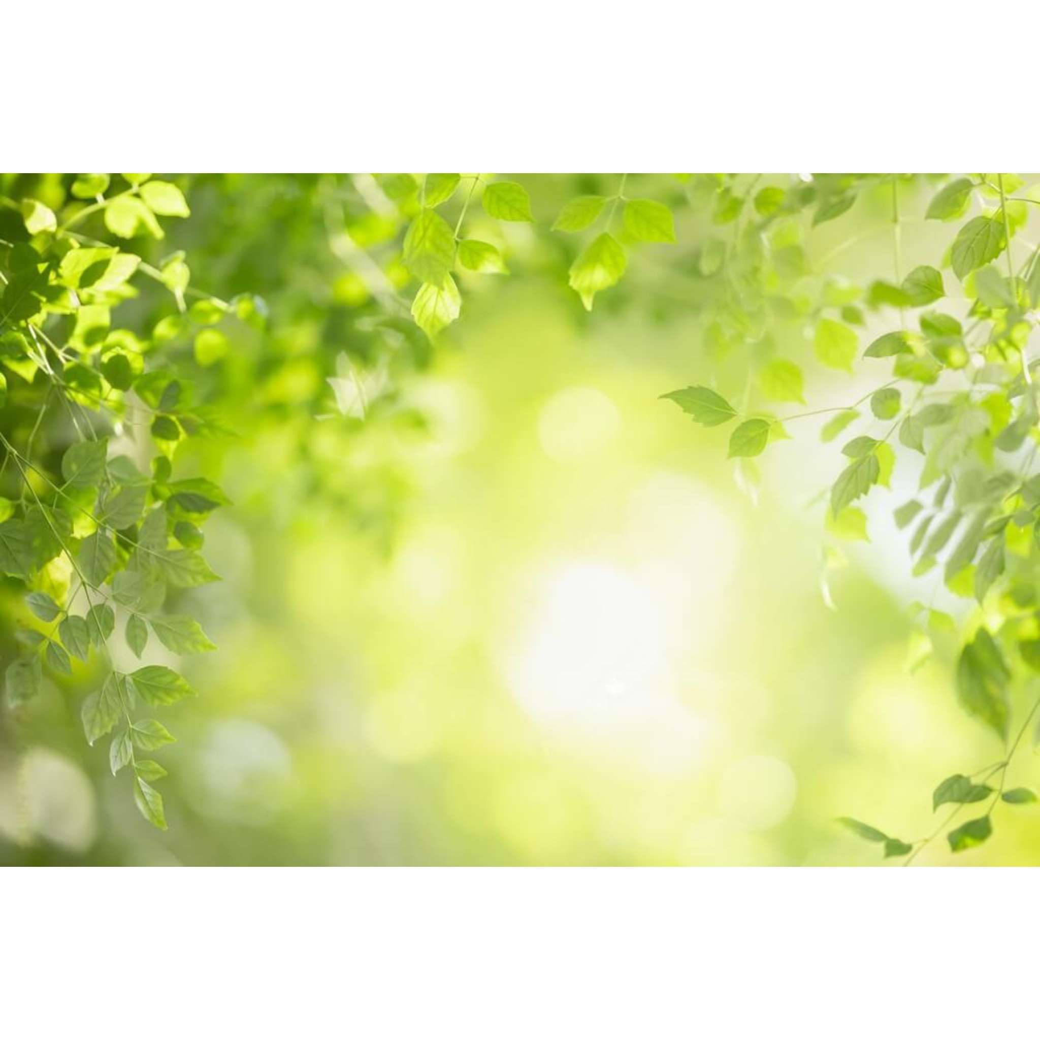 Vinyl Nature Backdrop