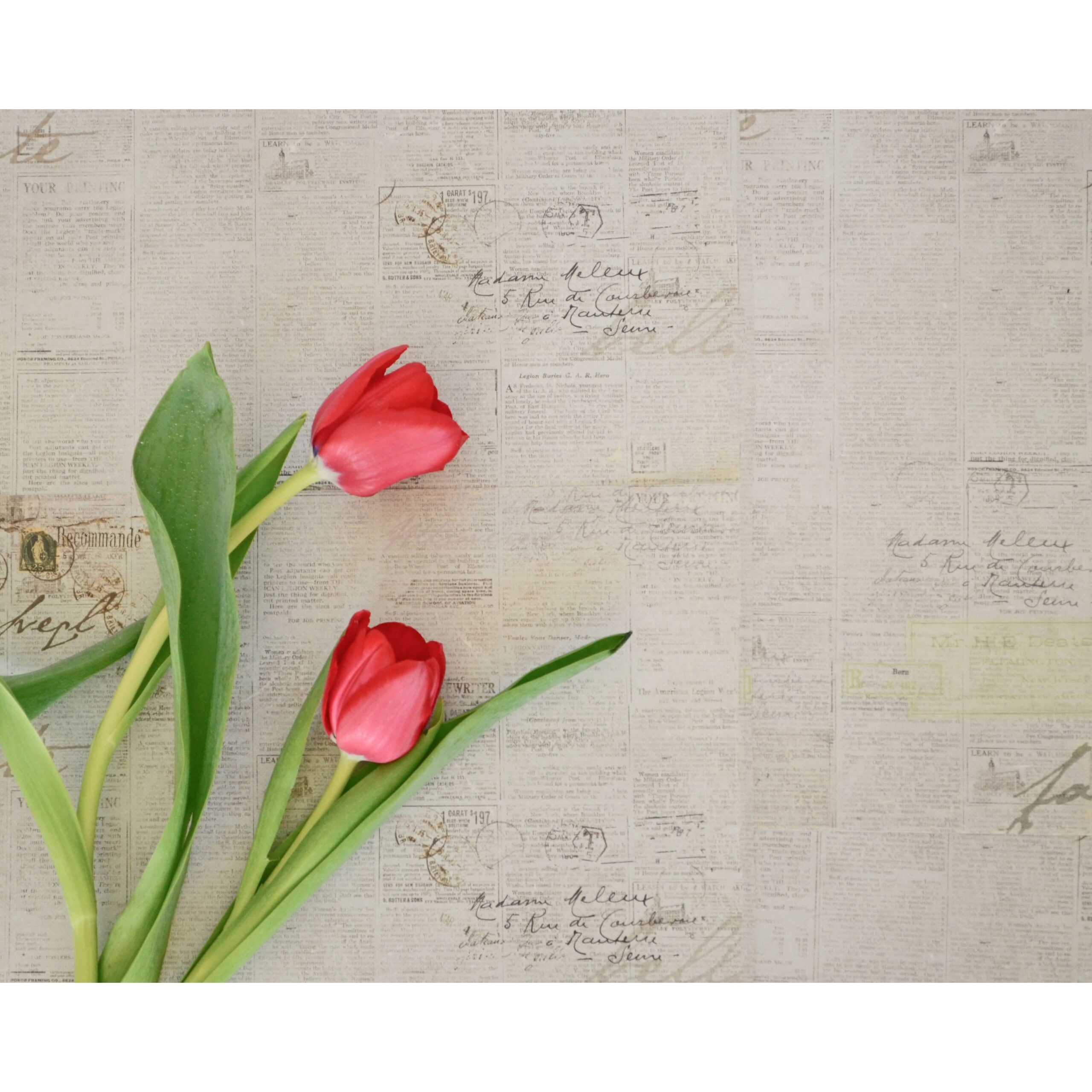 Vinyl Paper Design and Flower Backdrop