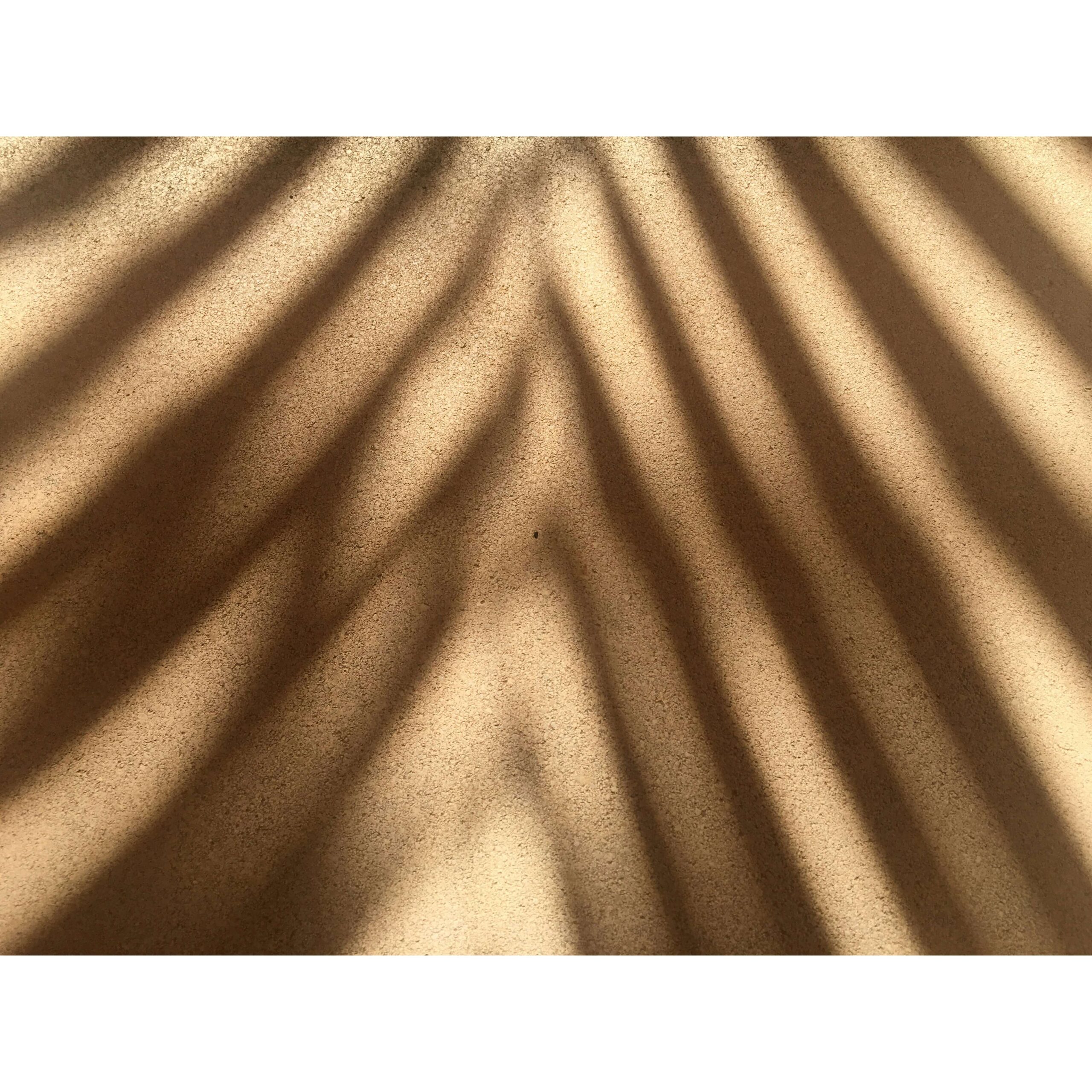 Vinyl Shadow On Wall Backdrop