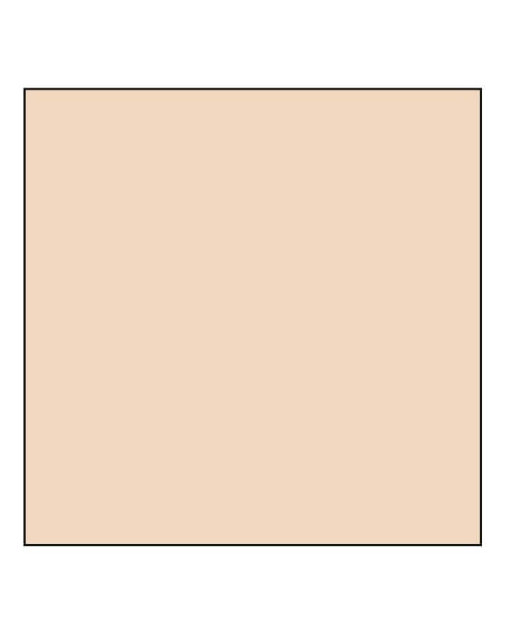 Vinyl Bedroom Backdrop