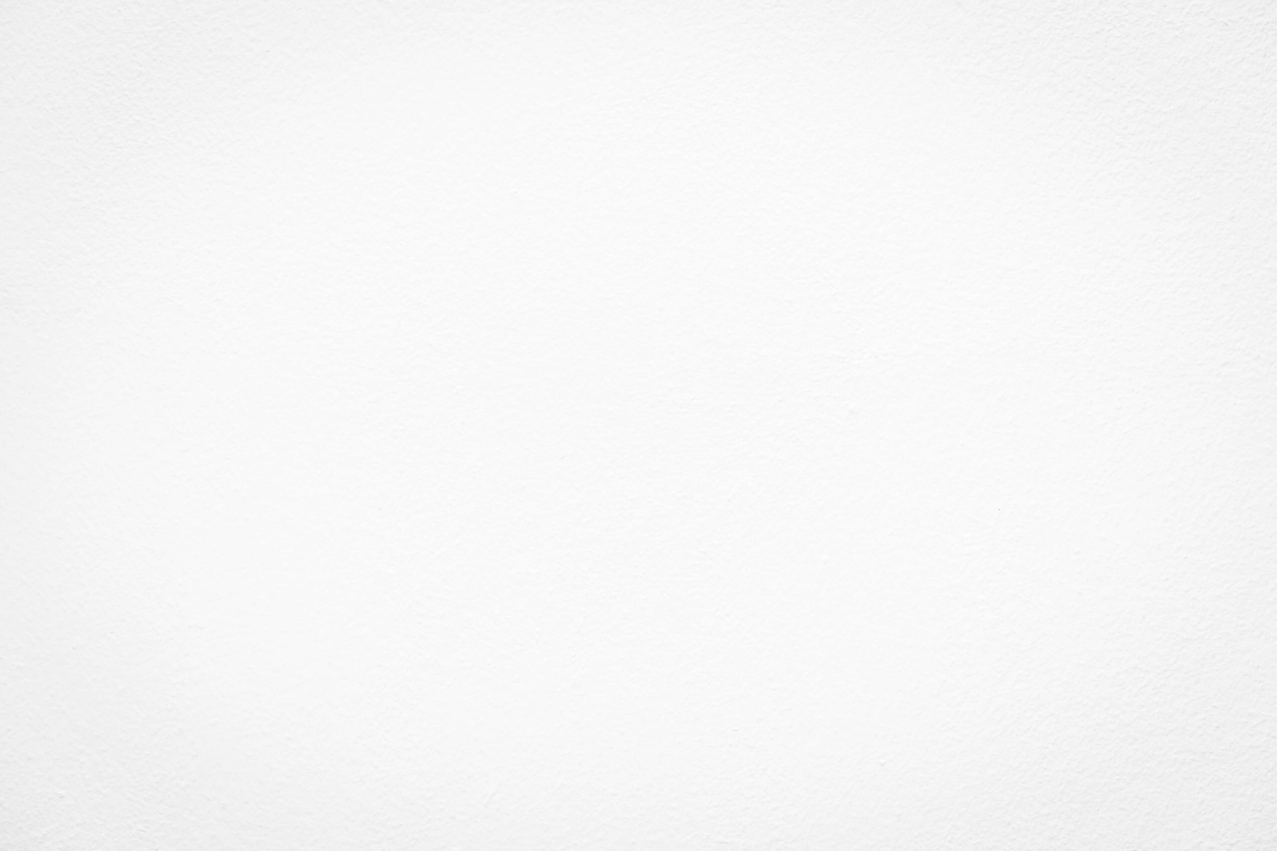 Vinyl Plain White Backdrop